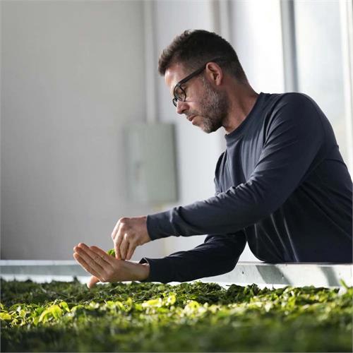 vendor image