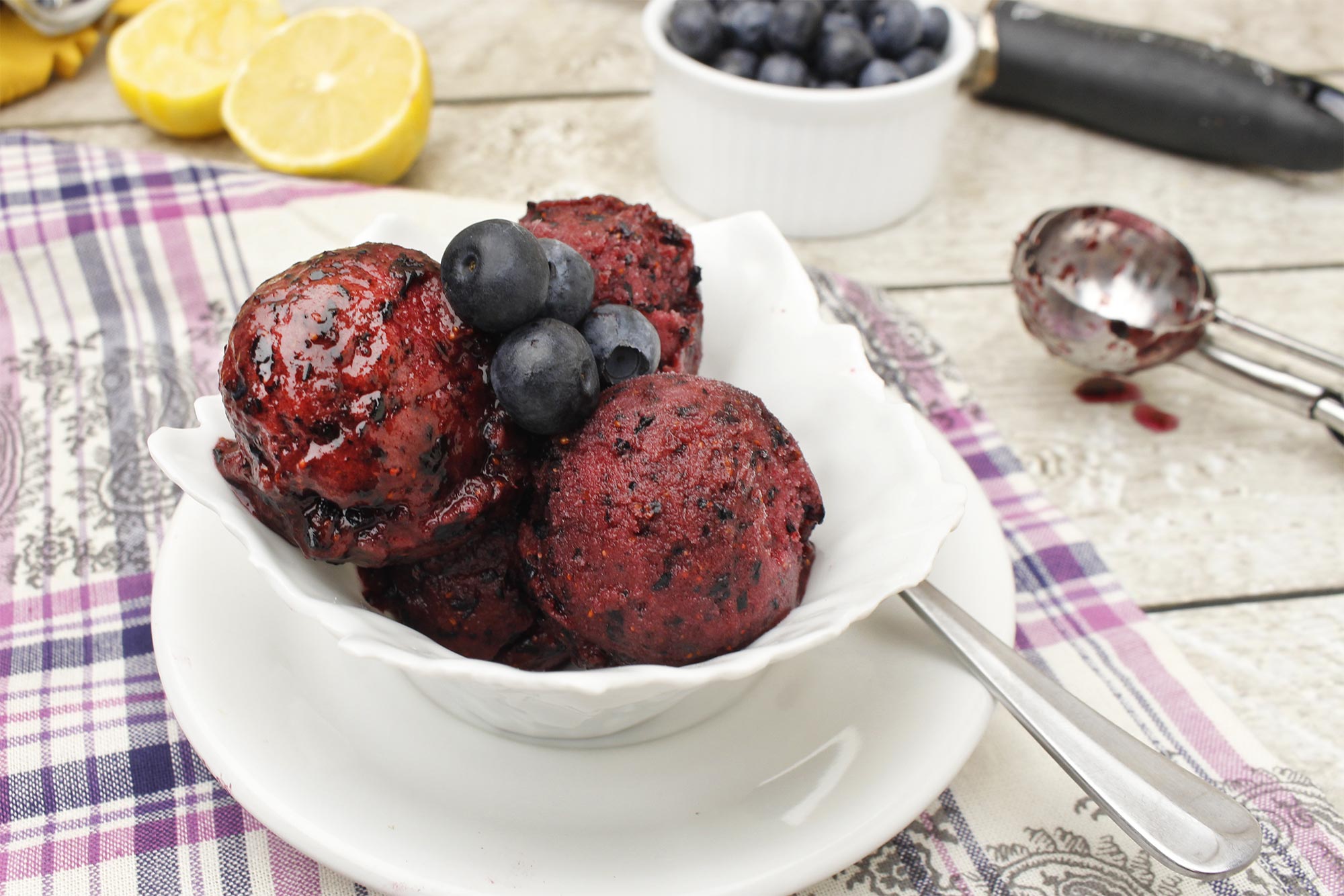 Full Circle Recipe Lemony Blueberry Sorbet